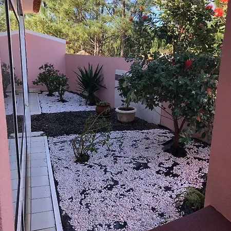 Paradise In Holiday home