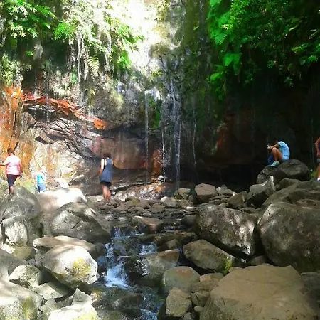 Paradise In